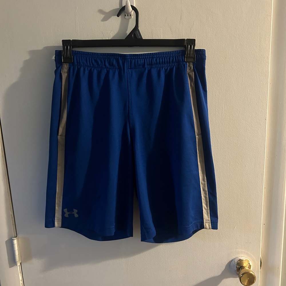Under Armour Blue Athletic Performance Shorts
